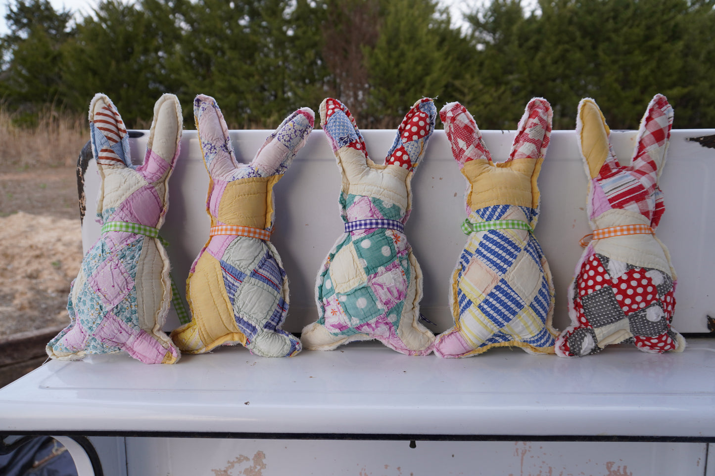 Medium Bunnies