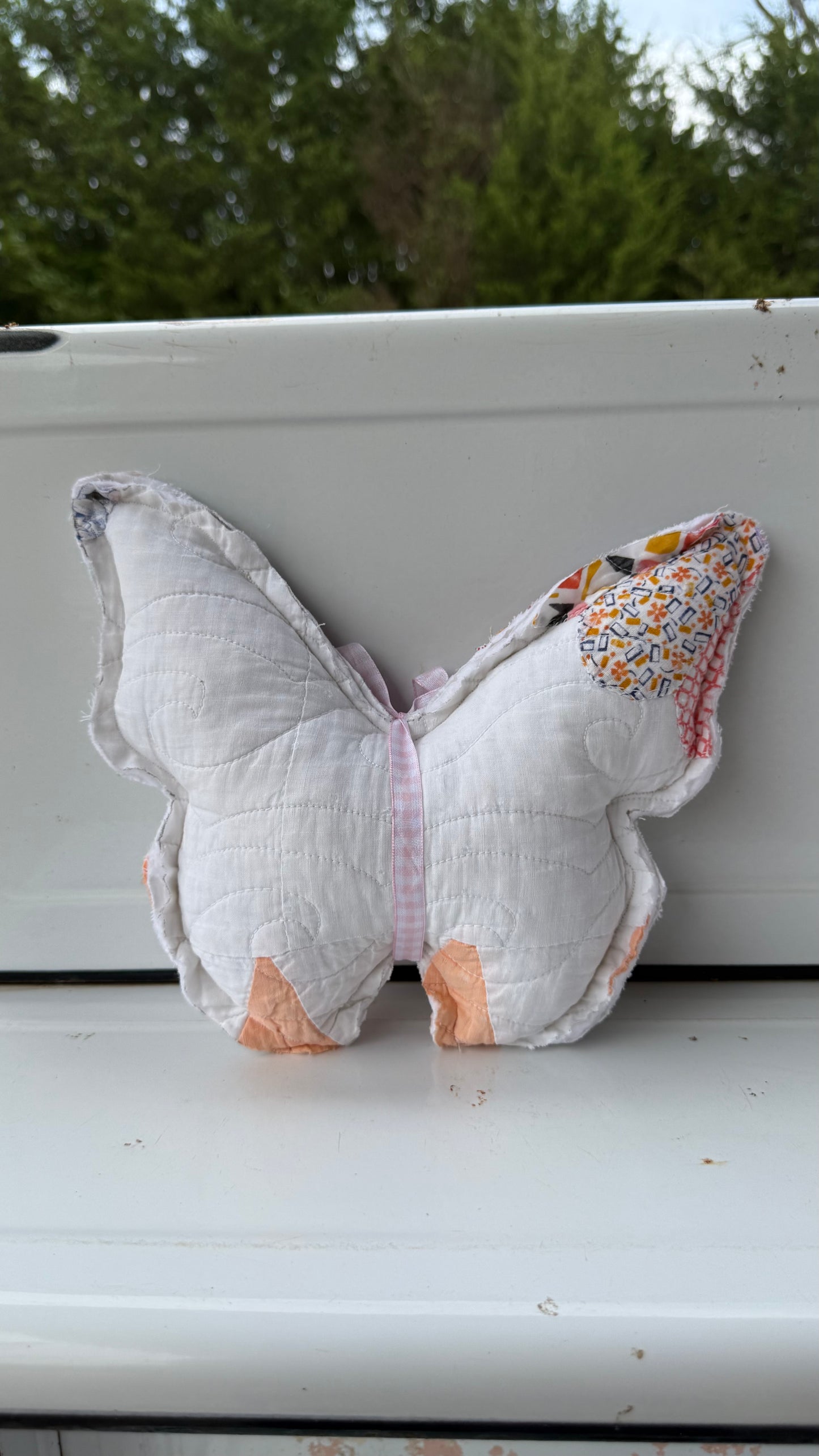 Medium Butterflies
