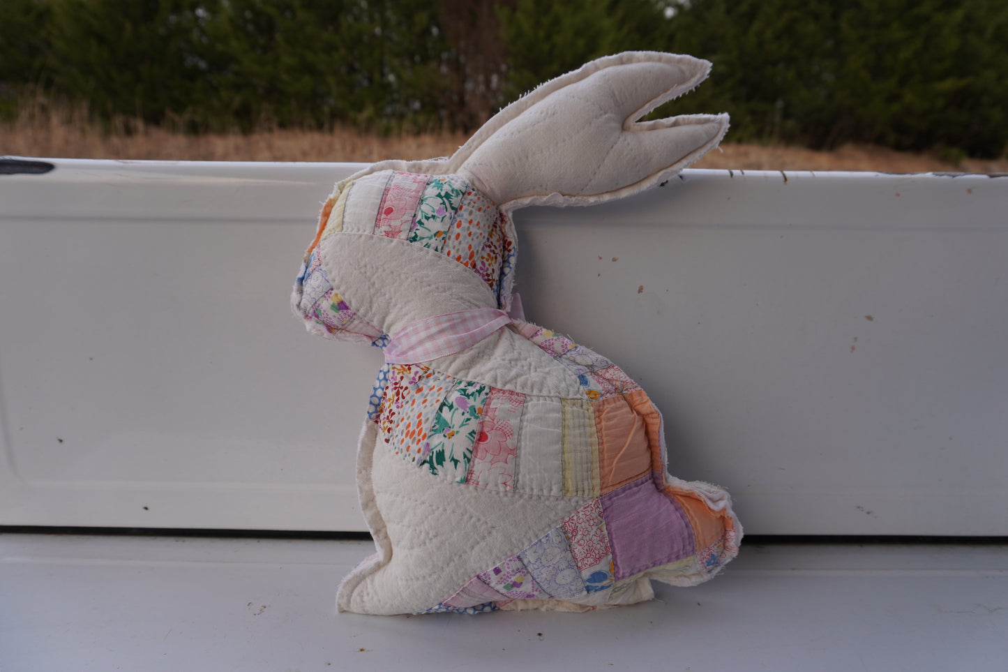 Large Bunnies