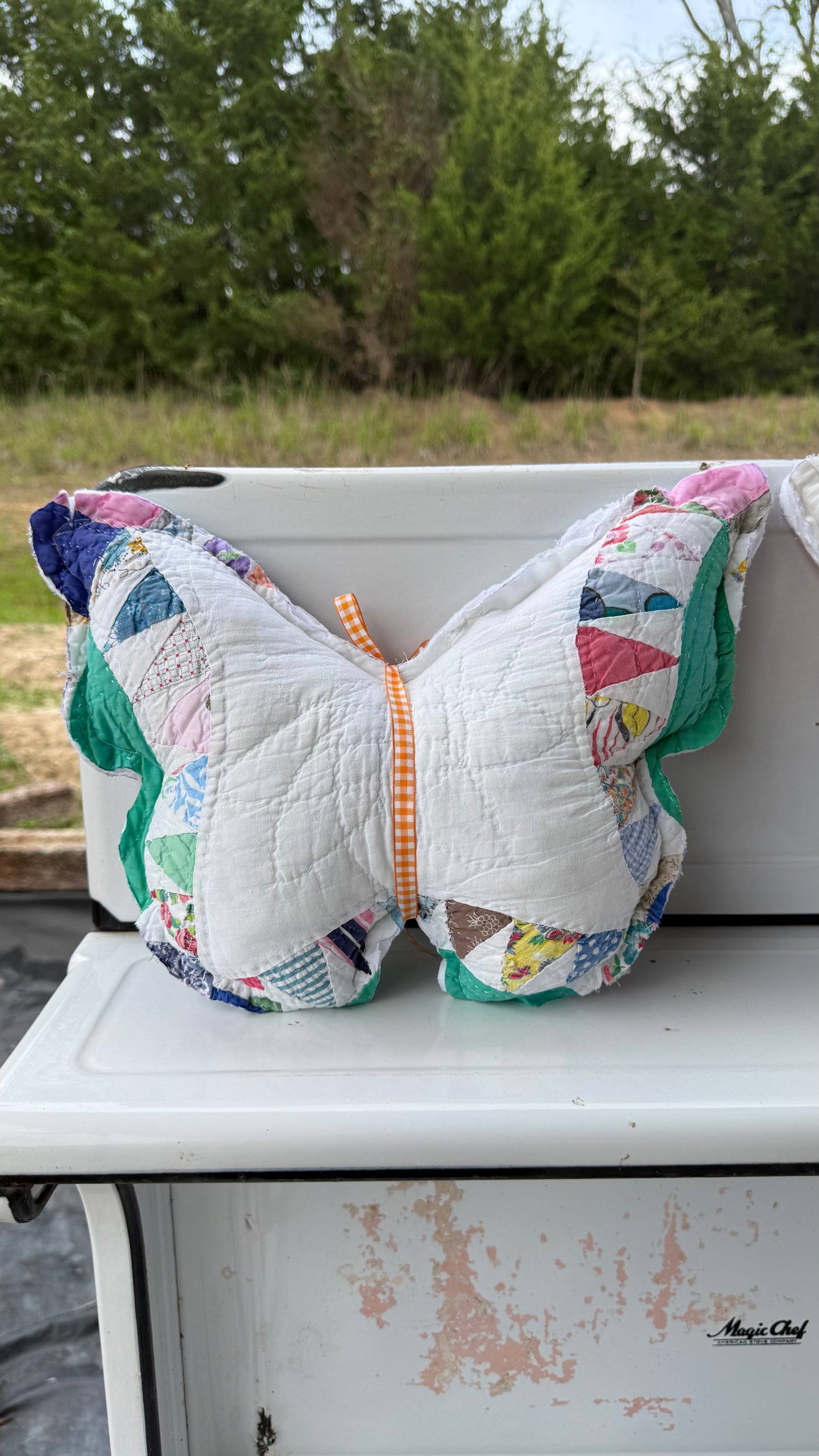 Large Butterflies