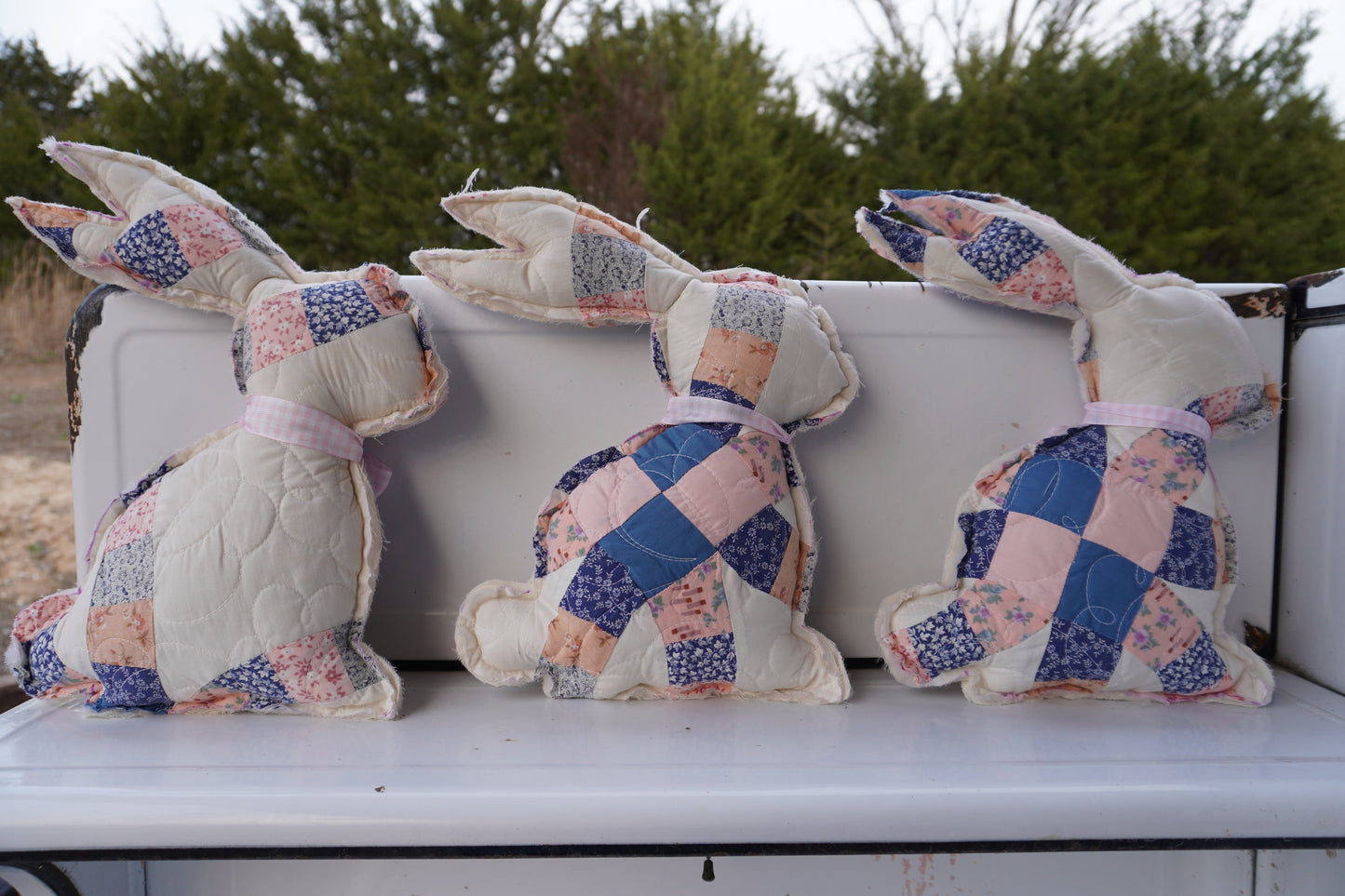 Large Bunnies