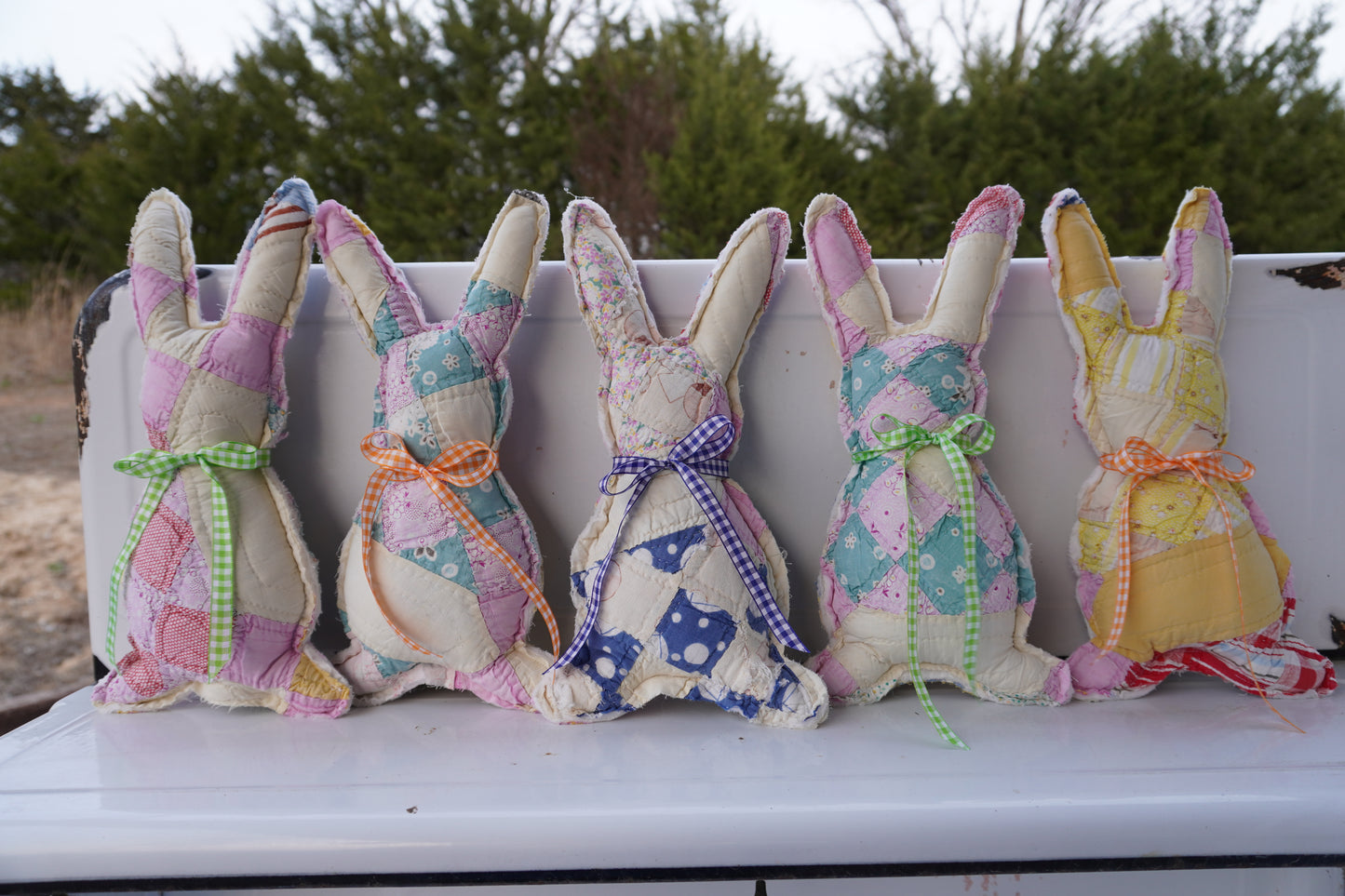 Medium Bunnies