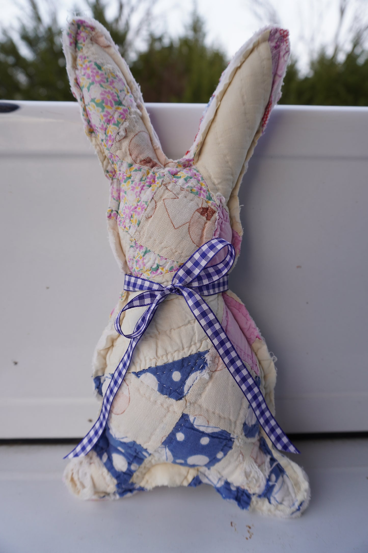 Medium Bunnies