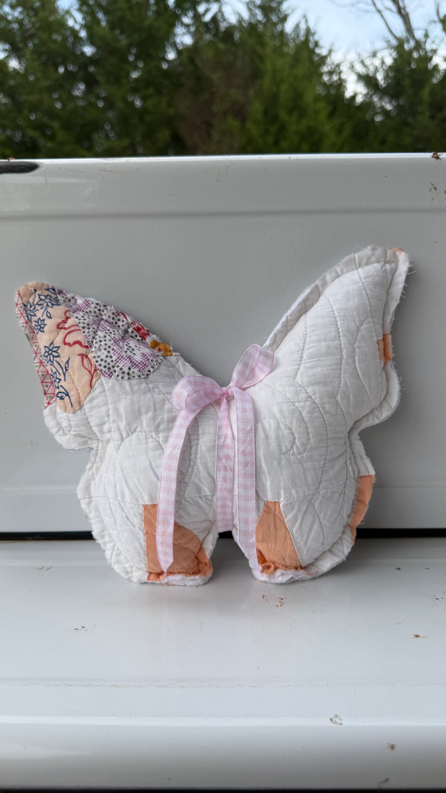 Medium Butterflies